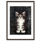 Bicolor Cute Kitten Portrait thumbnail