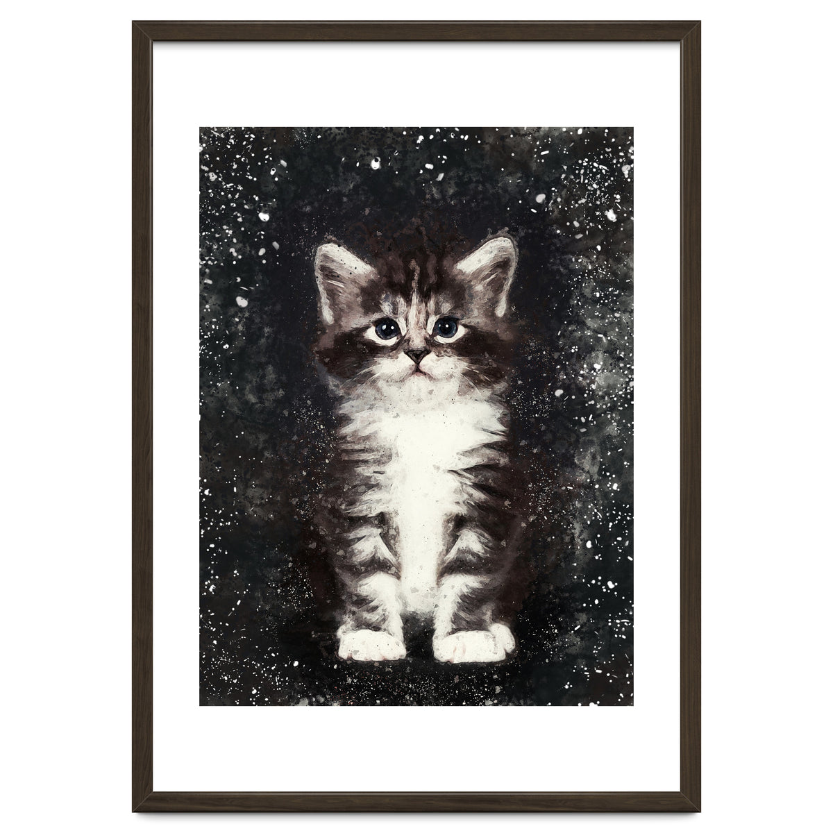 Bicolor Cute Kitten Portrait