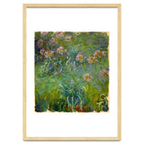 Claude Monet (1840-1926). Agapanthus. thumbnail