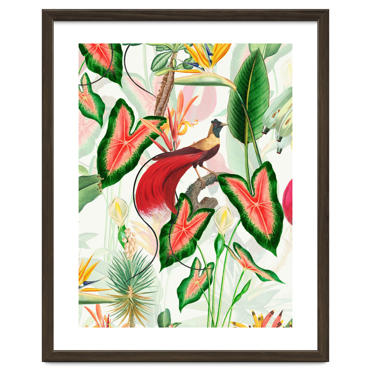 Vintage Bird Of Paradise in Jungle