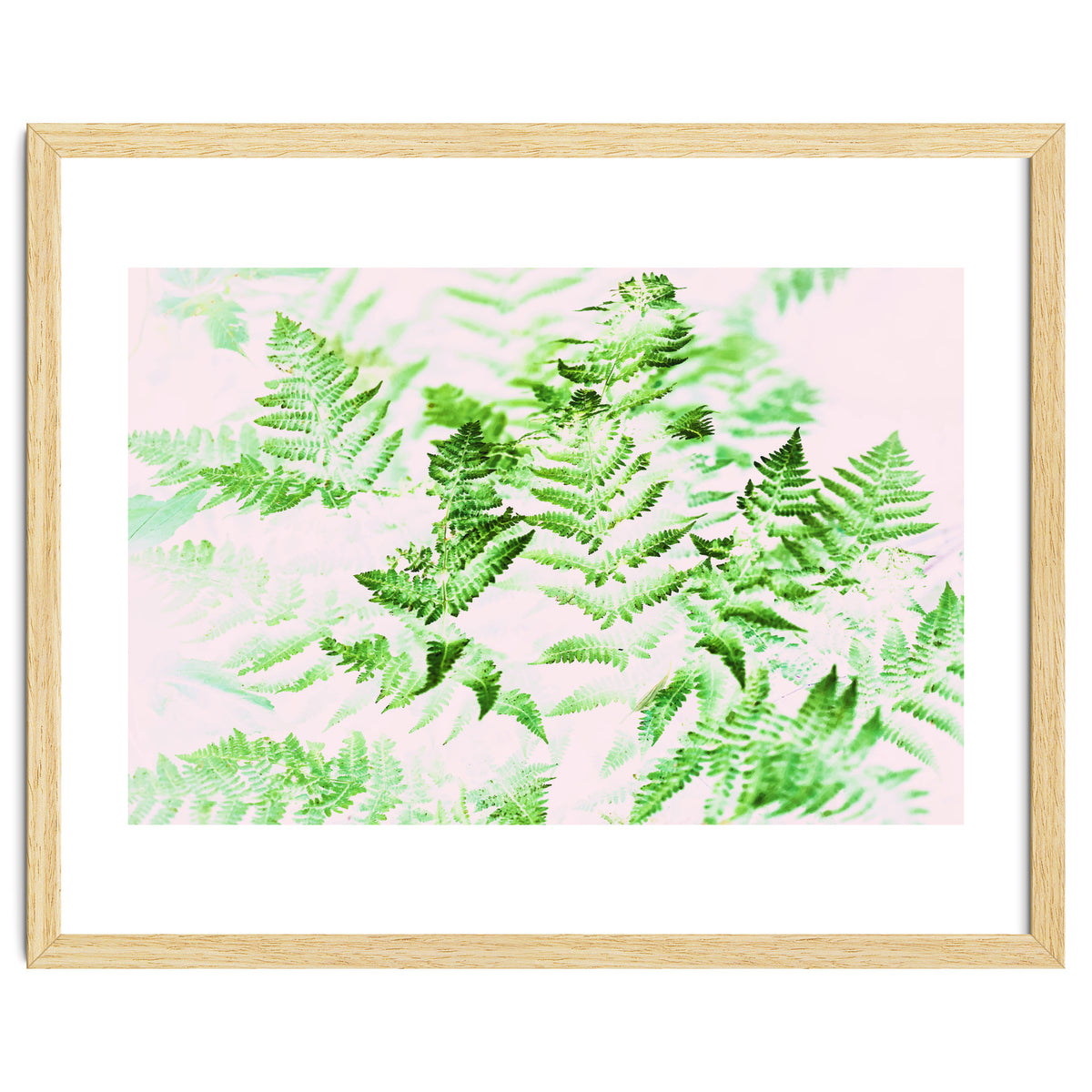 Fern Forest #society6 #decor #buyart
