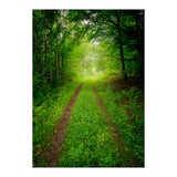 Green Forest Trail (Print Only) thumbnail