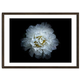 Backyard Flowers No 90 Color Version thumbnail