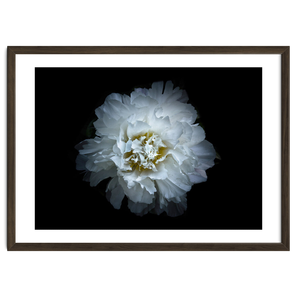 Backyard Flowers No 90 Color Version