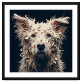 Old Dog 06 thumbnail