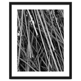 Black Tectorius Plant Shoots Art thumbnail