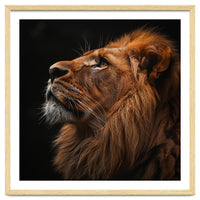Majestic Lion Portrait Profile Majestic Beast