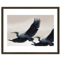 Migrating Herons
