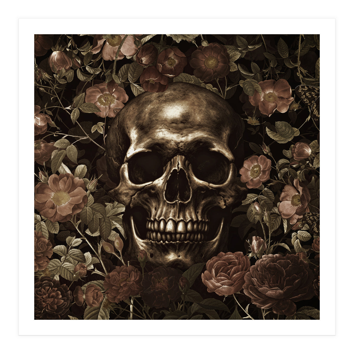 Baroque  Skull And Roses Night Garden (Print Only)