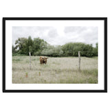 Cow in the farm thumbnail