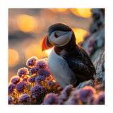Puffin Bird Amidst Purple Flowers Golden Hour (Print Only) thumbnail