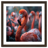 Beautiful Close Up Of A Pink Flamingo Bird thumbnail