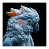 Close Up Of A Cockatoo Parrot Head (Print Only) thumbnail