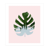 Monstera (Print Only) thumbnail