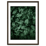 New Foliage Green Ii thumbnail
