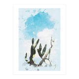 Cactus & Sky (Print Only) thumbnail