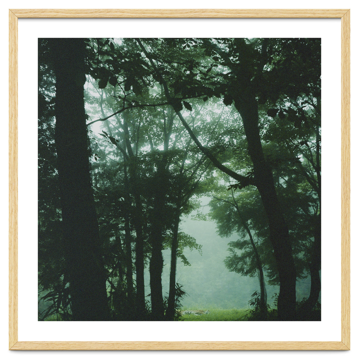 Silence of breath - 13