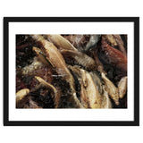 Fish01 thumbnail