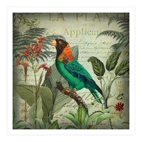 Tropical Bird Nostalgia  (Print Only)