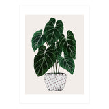 Philodendron Plant (Print Only) thumbnail