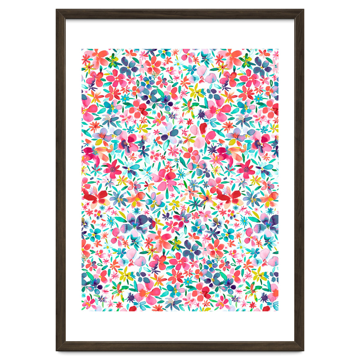 Colorful Flower Petals