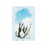 Cactus & Sky (Print Only) thumbnail