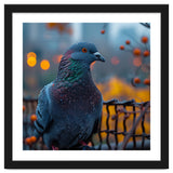 Pigeon With Water Droplets thumbnail