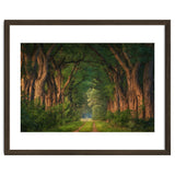 Soft morning light thumbnail