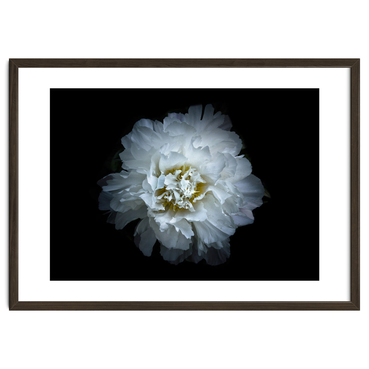 Backyard Flowers No 90 Color Version