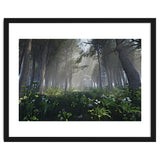 Art In The Forest thumbnail
