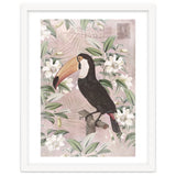 Exotic Bird Toucan thumbnail