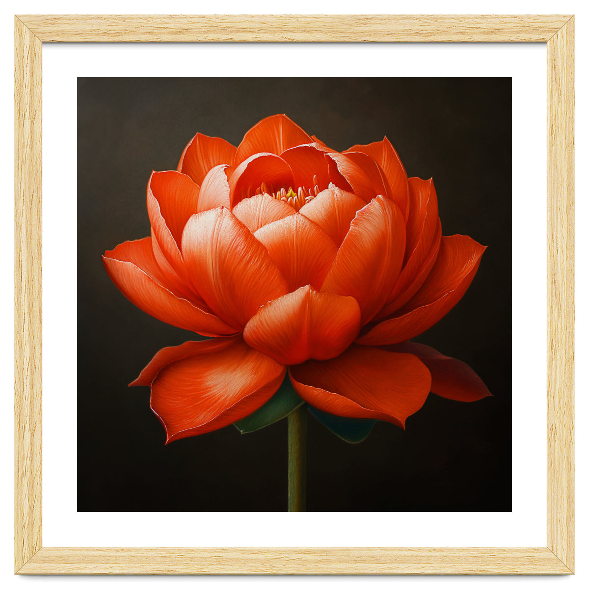 Double Lotus | Scarlet Solace