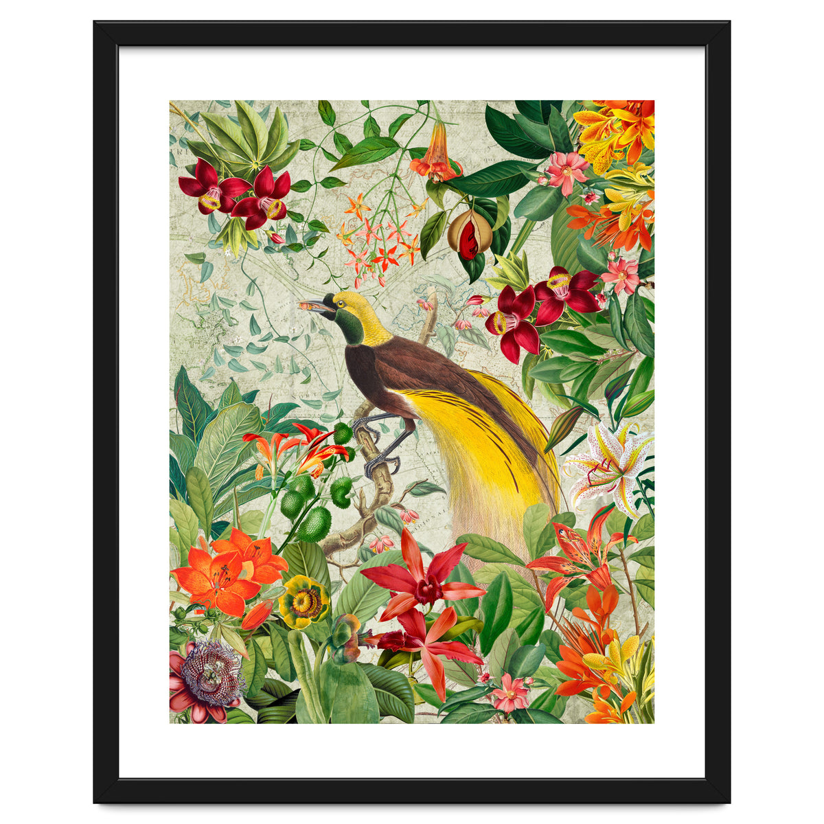 Bird of paradise vintage jungle