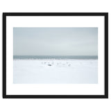 Seagulls in the Snow beach thumbnail