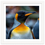 King Penguin With Water Droplets On Its Head thumbnail