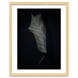 Leaves No 3 Color Version thumbnail