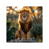 Majestic Lion Sitting On A Rock At Sunset (Print Only) thumbnail