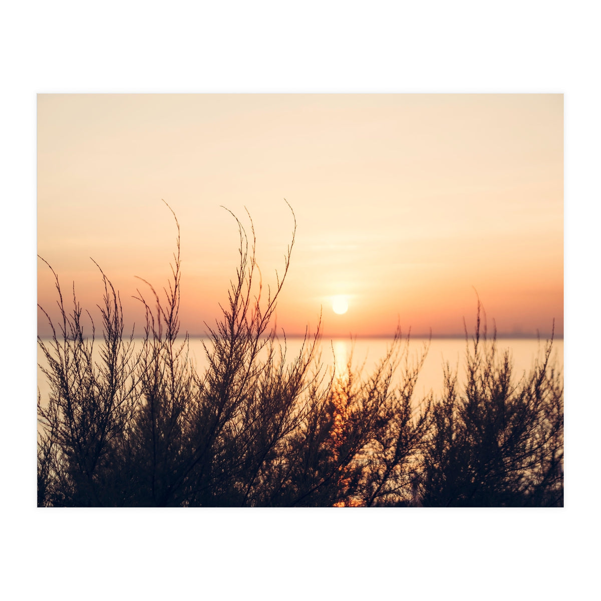 Orange Heatwave 2 (Print Only)