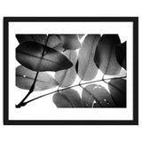 Branches and Leaves, 2016, 3 thumbnail