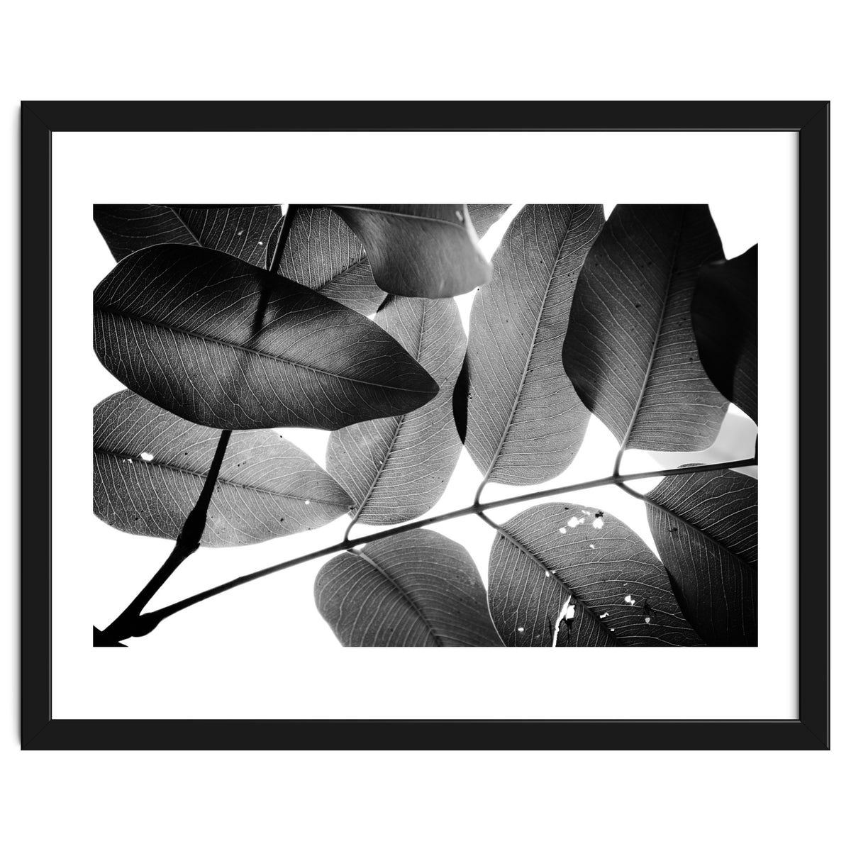 Branches and Leaves, 2016, 3