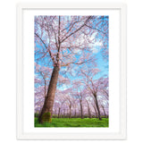 Spring in optima forma thumbnail