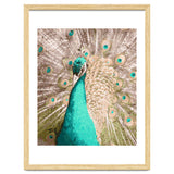 On My Way To Wonderland thumbnail