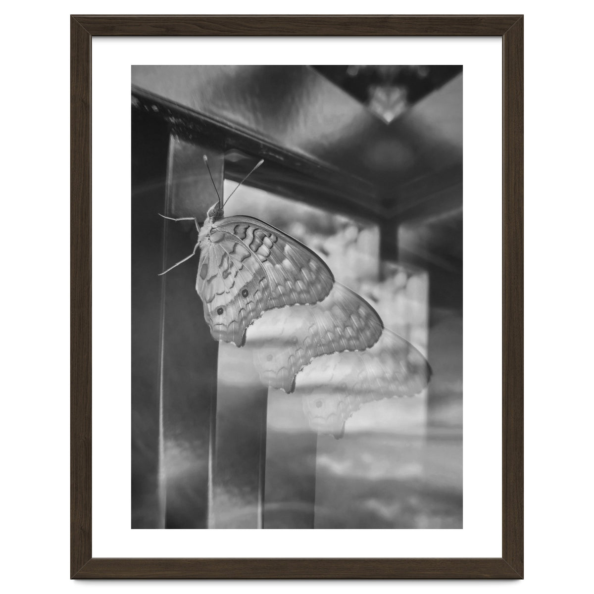 Evolving | Black & White