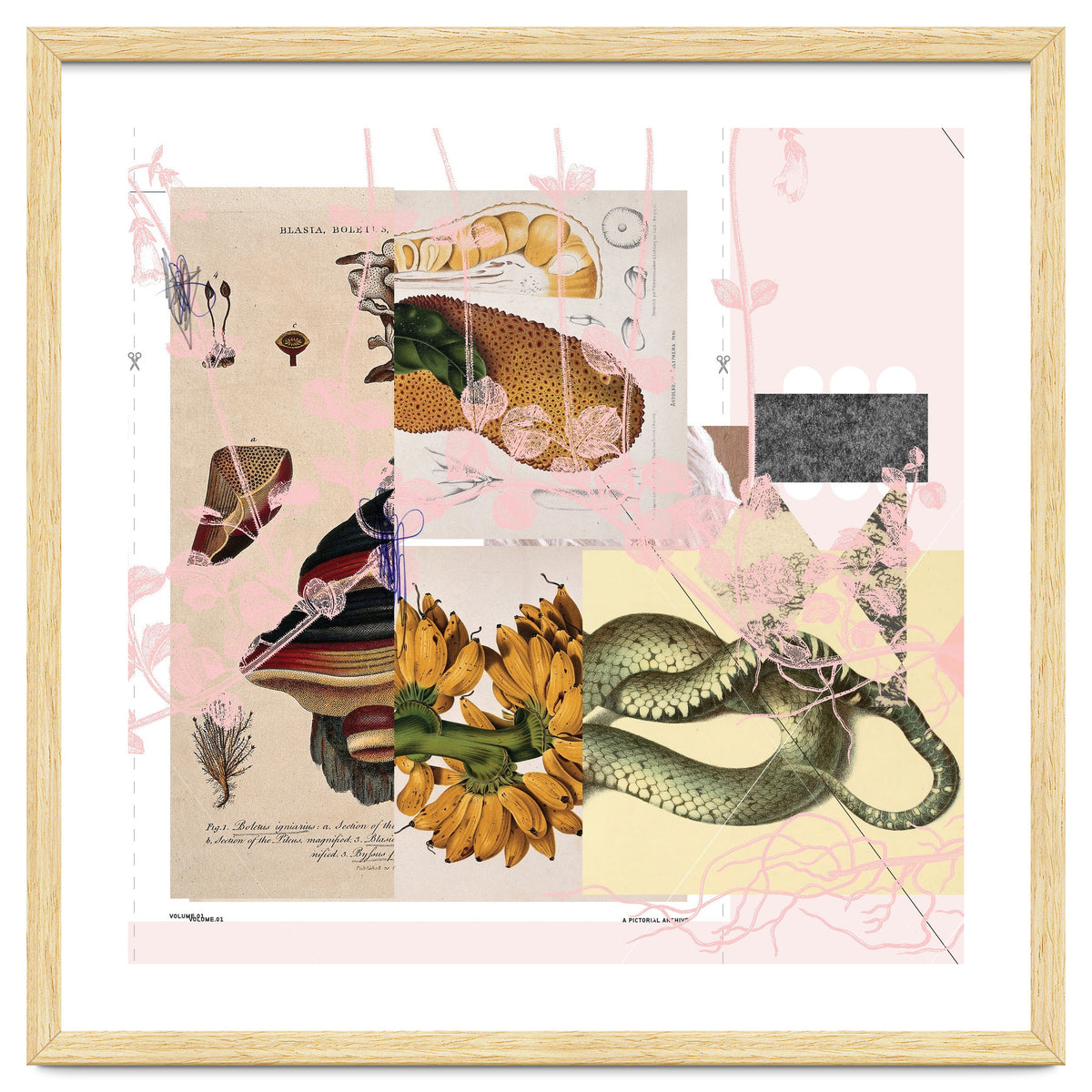 Abstract White Daydream Flower