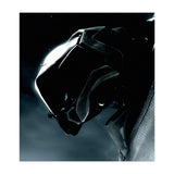 Halo (Print Only) thumbnail