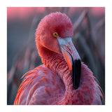 Pink Flamingo Bird Close Up Portrait (Print Only) thumbnail