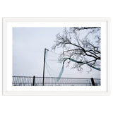 Net caught in a tree thumbnail