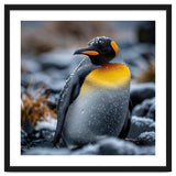 King Penguin In Snow With Water Droplets thumbnail