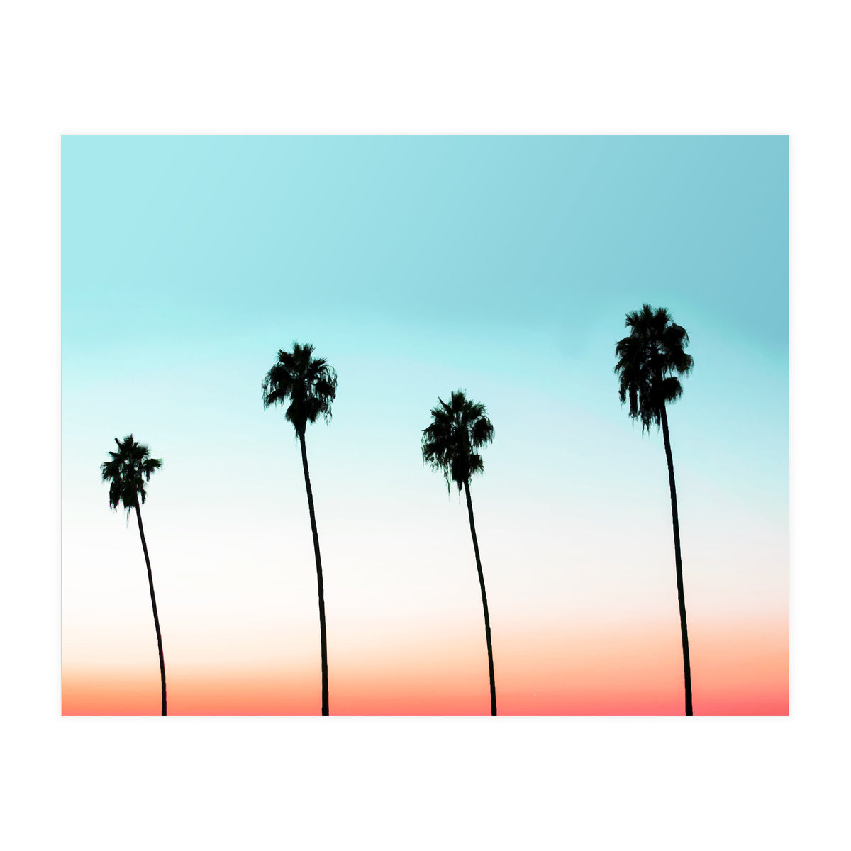 Sunset Boulevard #society6 #decor #buyart (Print Only)