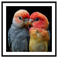 Two Lovebirds Nuzzle Together